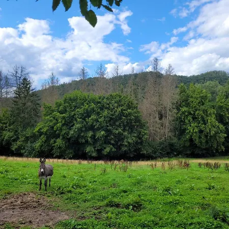 בית נופש De Trasenster Trooz