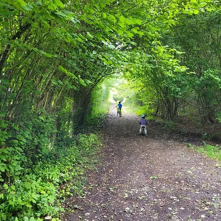 別荘 De Trasenster