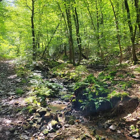 De Trasenster 別荘 *