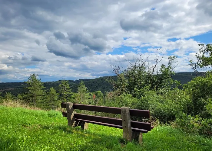 別荘 De Trasenster *